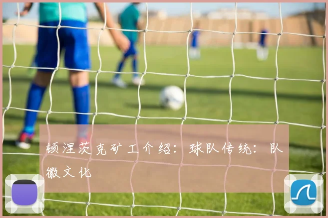 顿涅茨克矿工介绍：球队传统：队徽文化