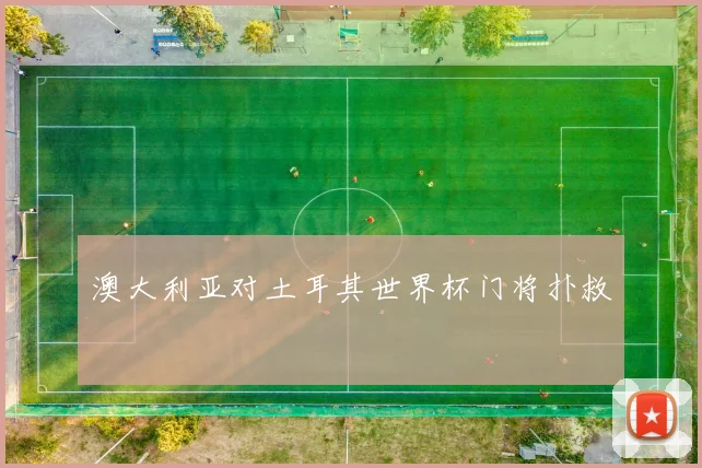 澳大利亚对土耳其世界杯门将扑救