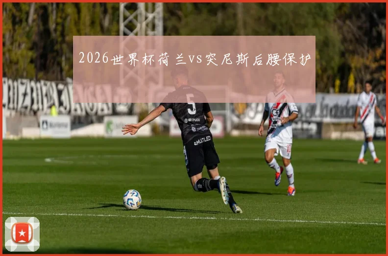 2026世界杯荷兰vs突尼斯后腰保护