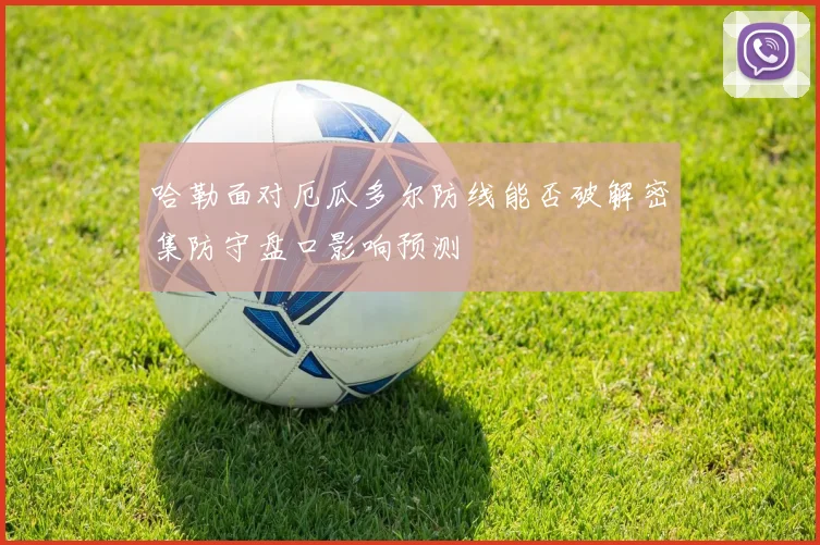 哈勒面对厄瓜多尔防线能否破解密集防守盘口影响预测