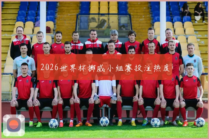 2026世界杯挪威小组赛投注热度