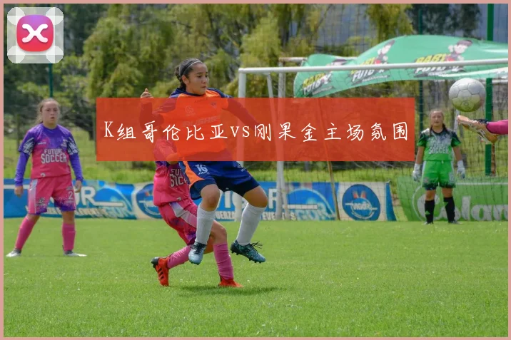K组哥伦比亚vs刚果金主场氛围